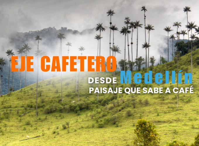 Planes turísticos desde Medellín hacia el mundo: destinos, hoteles, asesoría, transporte y atención personalizada.