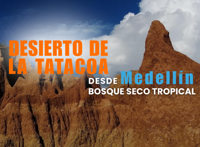 Planes turísticos desde Medellín hacia el mundo: destinos, hoteles, asesoría, transporte y atención personalizada.