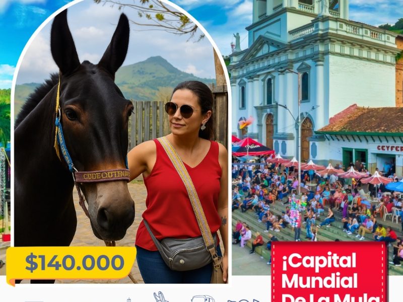 Planes para todos los gustos