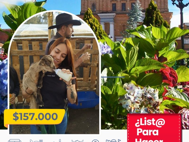Planes para todos los gustos