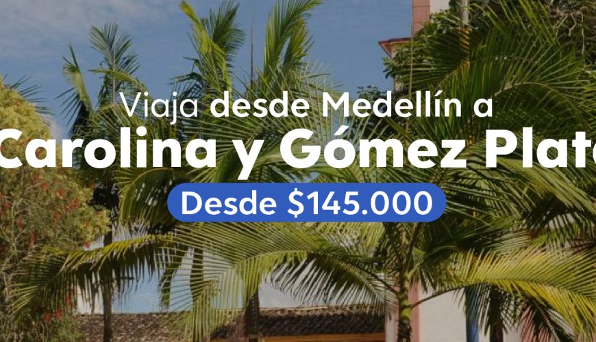 Planes para todos los gustos