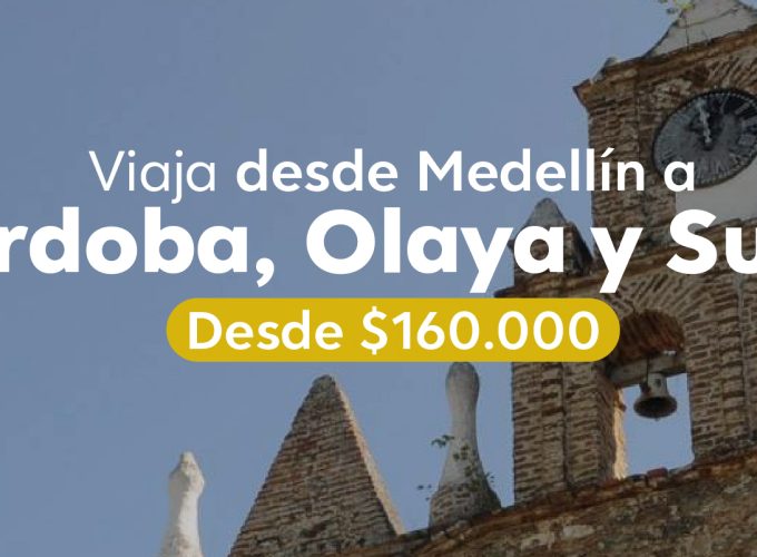 Planes para todos los gustos