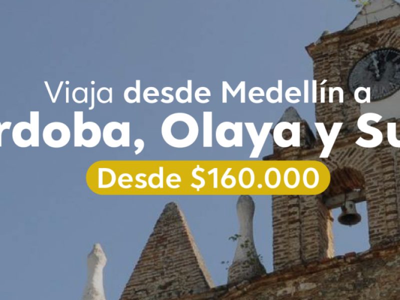 Planes para todos los gustos