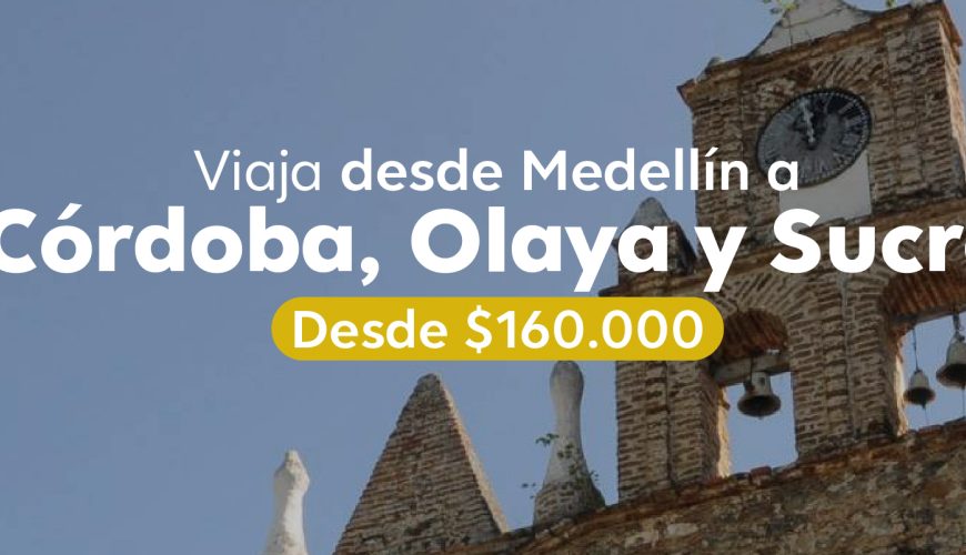 Planes para todos los gustos