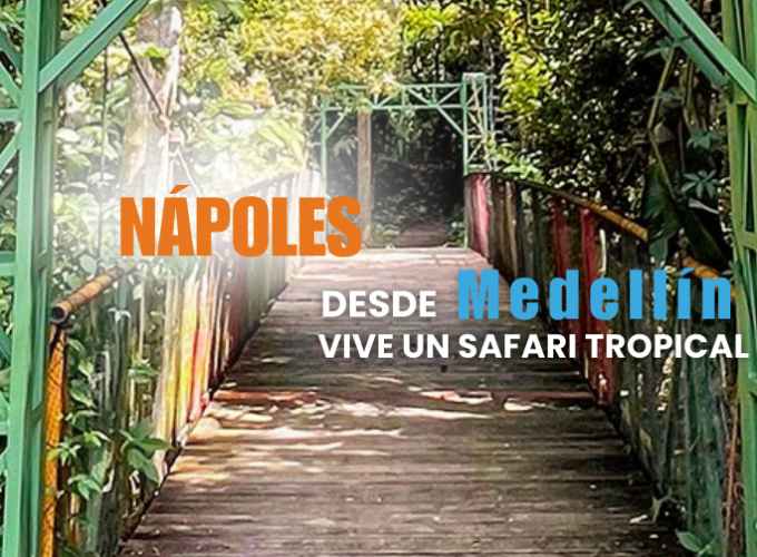 Planes turísticos desde Medellín hacia el mundo: destinos, hoteles, asesoría, transporte y atención personalizada.