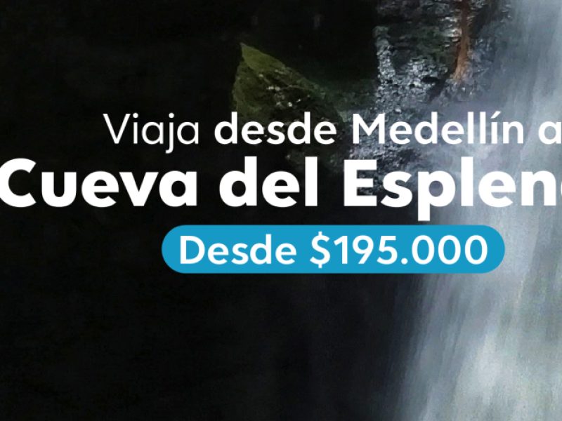 Planes para todos los gustos