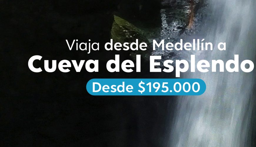 Planes para todos los gustos