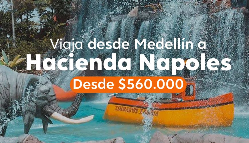 Planes para todos los gustos