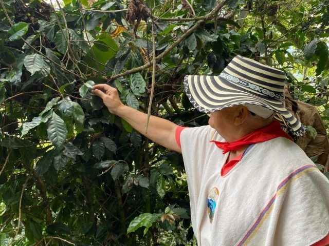 WhatsApp Image 2025-09-08 at 12.56.32 PM (1)